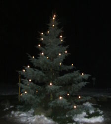 Weihnachtsmarkt Syrau 2008